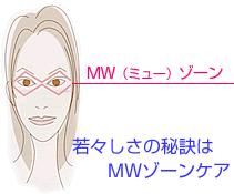 DrDg[@~[{gbNi摜1